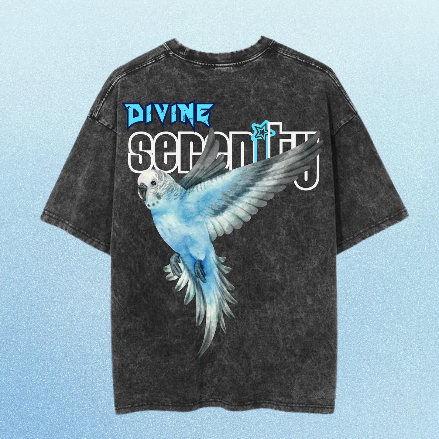 Divine Serenity Oversized Tshirt